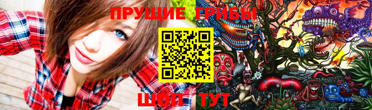 Кемерово  хочу наркоту  Вход с VPN  Галлюциногенные грибы GOLDEN TEACHER 