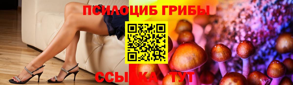 Псилоцибиновые грибы мицелий Кемерово